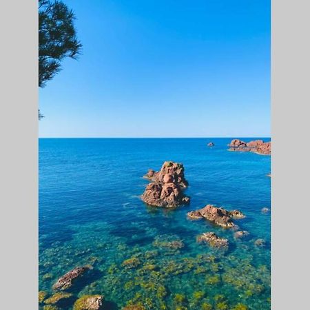 Superbe 4 Couchages Avec Terrasse - Clim - 50M De La Mer Saint-Raphaël المظهر الخارجي الصورة