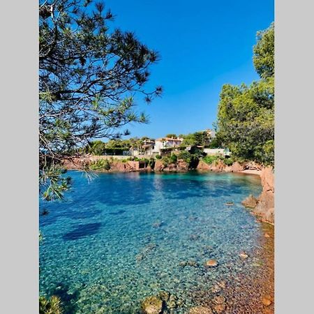 Superbe 4 Couchages Avec Terrasse - Clim - 50M De La Mer Saint-Raphaël المظهر الخارجي الصورة