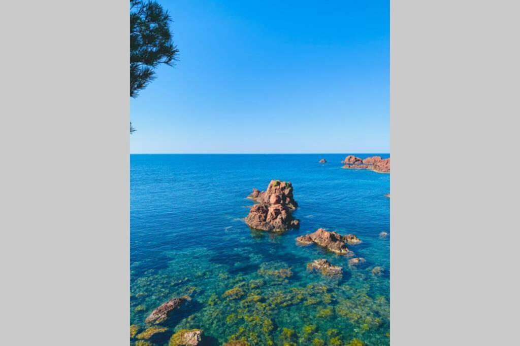 Superbe 4 Couchages Avec Terrasse - Clim - 50M De La Mer Saint-Raphaël المظهر الخارجي الصورة