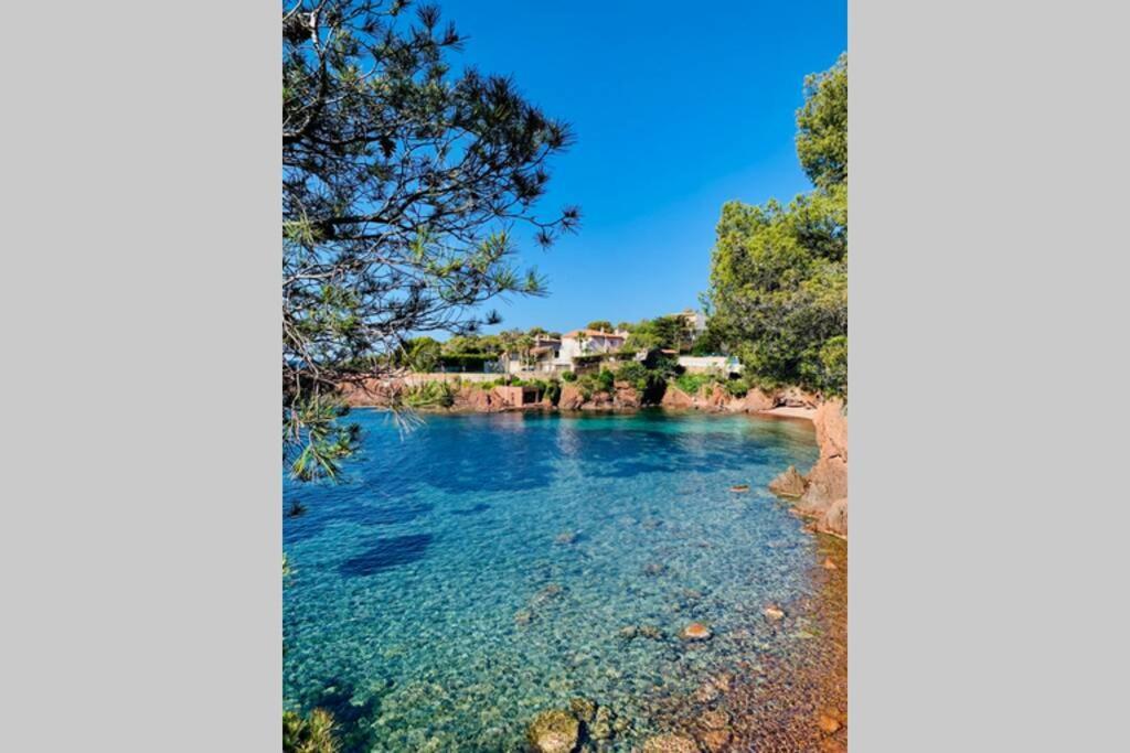 Superbe 4 Couchages Avec Terrasse - Clim - 50M De La Mer Saint-Raphaël المظهر الخارجي الصورة