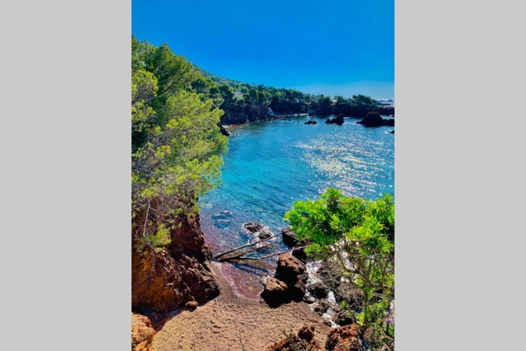 Superbe 4 Couchages Avec Terrasse - Clim - 50M De La Mer Saint-Raphaël المظهر الخارجي الصورة