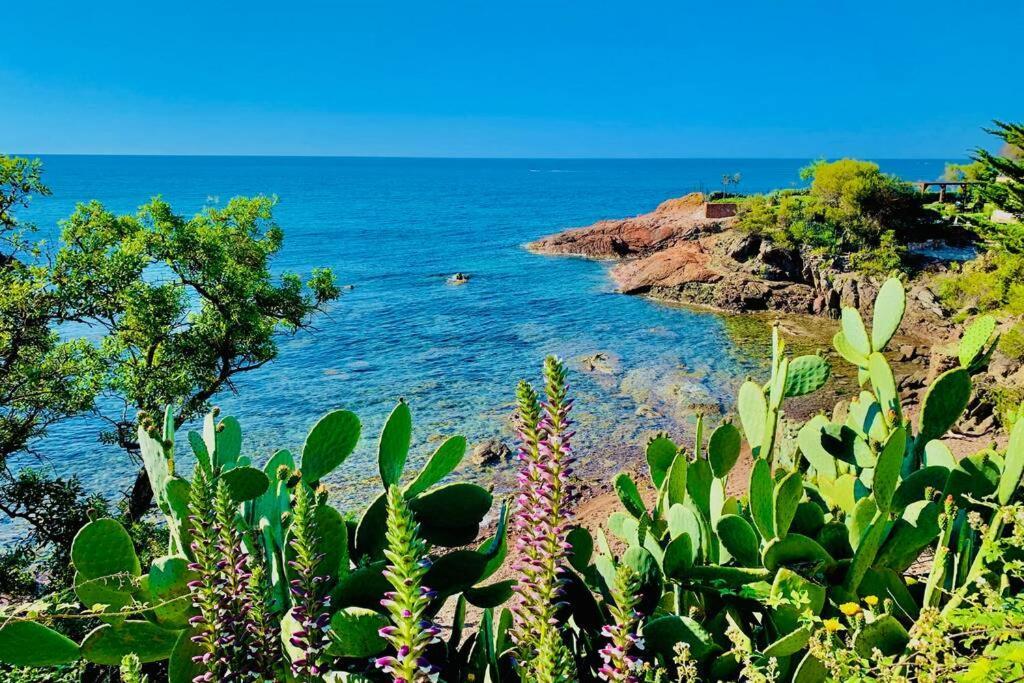 Superbe 4 Couchages Avec Terrasse - Clim - 50M De La Mer Saint-Raphaël المظهر الخارجي الصورة