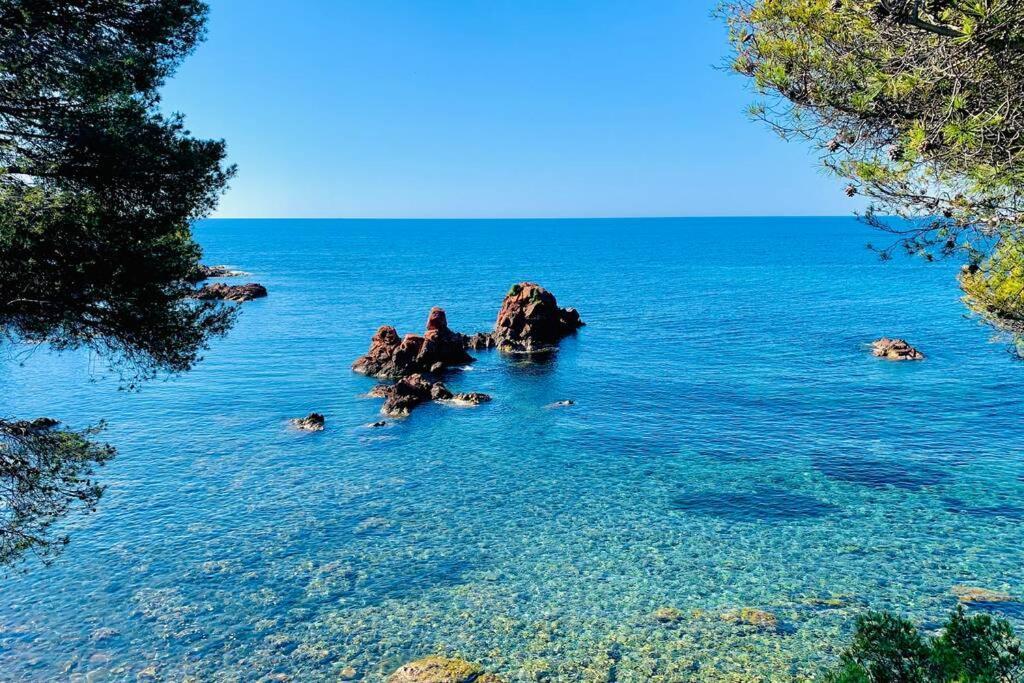 Superbe 4 Couchages Avec Terrasse - Clim - 50M De La Mer Saint-Raphaël المظهر الخارجي الصورة